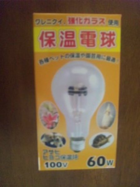 画像1: アサヒ電子　保温電球１００Ｗ (1)