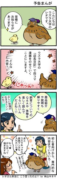 画像1: ウズラ大学　オリジナル４コマ漫画開始 (1)