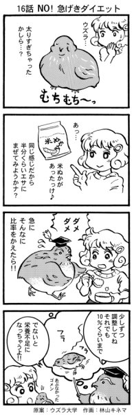 画像1: ウズラ大学　オリジナル４コマ漫画第１６話 (1)