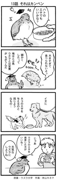 画像1: ウズラ大学　オリジナル４コマ漫画第１３話 (1)