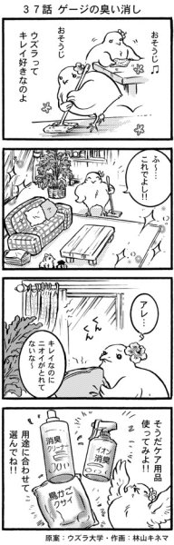 画像1: ウズラ大学　オリジナル４コマ漫画第３７話 (1)