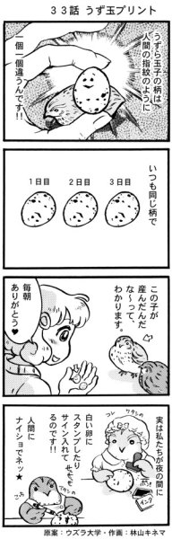 画像1: ウズラ大学　オリジナル４コマ漫画第３３話 (1)