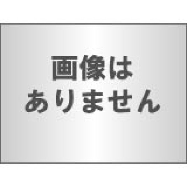 画像1: 水入れ　ハトタンク　３．０L (1)