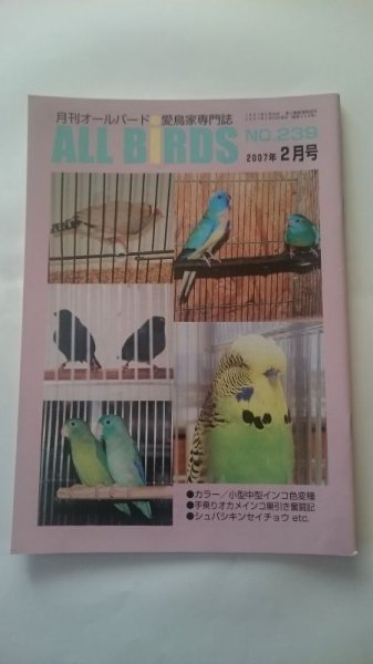 画像1: ＤＭ便無料　月刊オールバード　No２３９　２００７年２月号 (1)