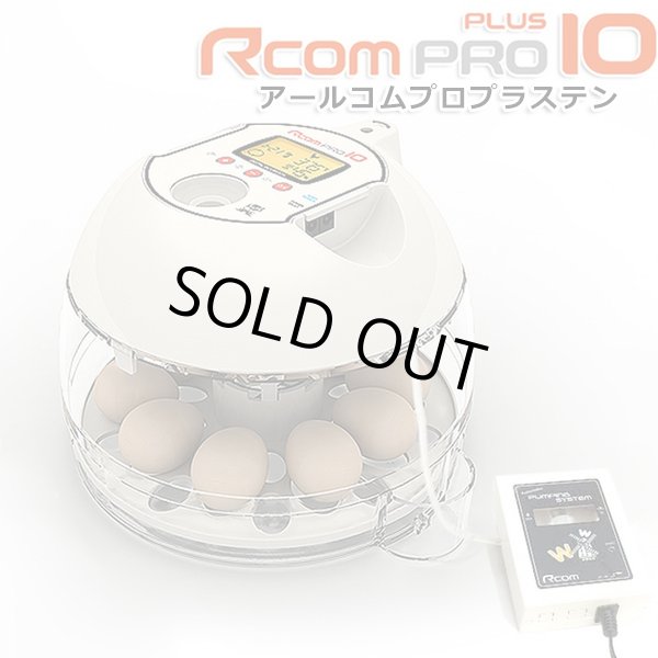 画像1: RcomプロPlus10　自動湿度調整機能付小型孵卵器＋検卵用ＬＥＤライト(送料無料) (1)